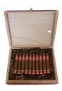 Box Académico Robusto